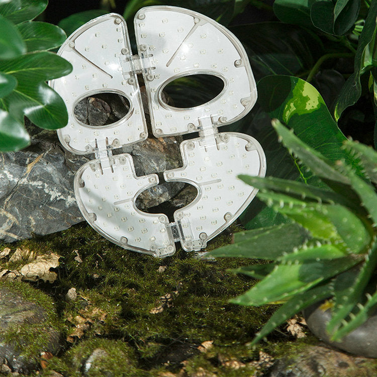 ✨ Máscara de Terapia LED de Colores – Piel Radiante desde Casa